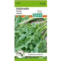 SAMEN PFANN Salatrauke Rucola Kleinpackung
