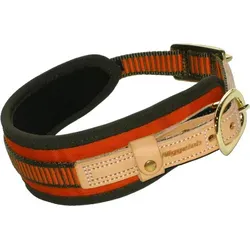 Niggeloh Hunde-Halsband Schweißhalsung Größe XS - Halsumfang 30-40 cm, Breite 4,8 cm, strapazierfähig und ideal für aktive Hunde