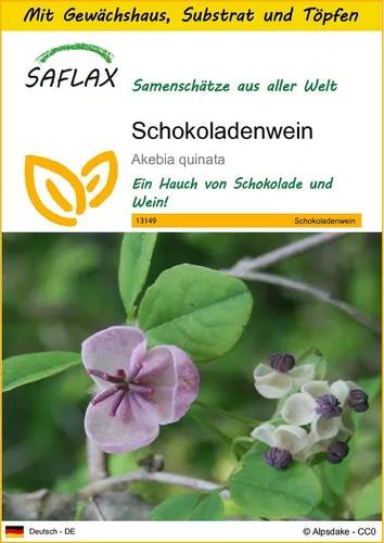 SAFLAX Blumensamen SAFLAX - Anzuchtset - Schokoladenwein