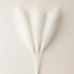 Pampasgras Deko Set Weiß, XXL Künstlich - 3 Stück, 100cm - Blumen & Künstliche Pflanzen: Elegantes Deko-Set aus 100cm großem, künstlichem Pampasgras in Weiß, perfekt für Boho Chic und besondere Anlässe wie Barbecues oder Feiertage.