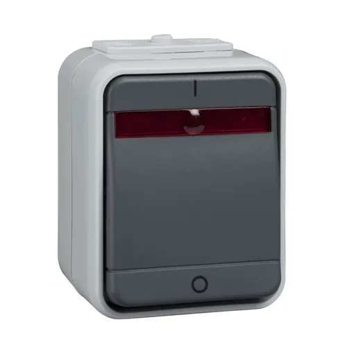 Elso ELG441219 Ausschalter, 2-polig, beleuchtet, 10A, Steckklemme, Aqua-Top, licht-/basaltgrau matt