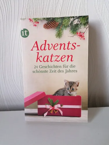 Adventskatzen: 24 Geschichten für die schönste Zeit... | Buch | Zustand sehr gut