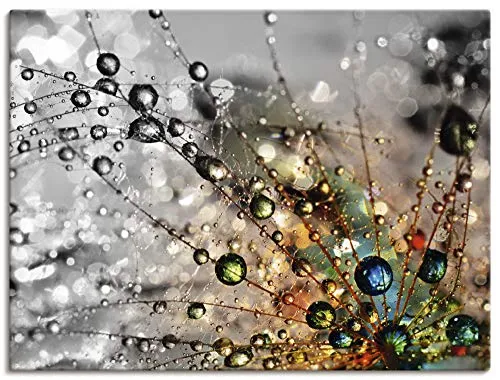 ARTLAND Wanddeko Leinwand Bilder Wandbild 80x60 cm Blumen Pusteblume Botanik Blüten Modern Kunst Sommer Natur T9IN