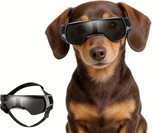 Enjoying Hundebrille Klein – UV-Schutz Sonnenbrille für kleine Rassen