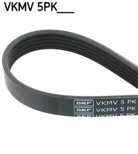 SKF Keilrippenriemen VKMV 5PK836