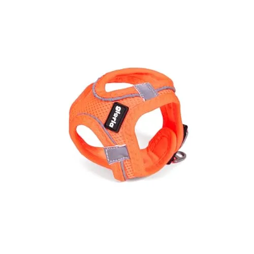 Gloria Trek Star Hundegeschirr 32,8-35,4 cm, 45-47 cm, Orange M