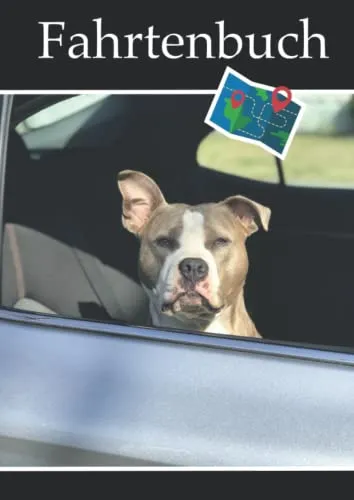 Fahrtenbuch: Fahrtenbuch für Finanzamt, Steuern, Beruf oder privat im praktischen DIN A4 Format