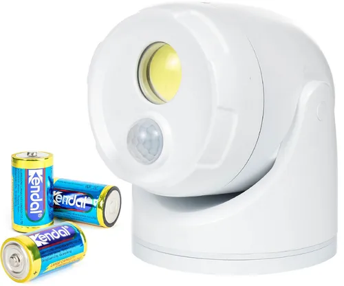 Northpoint LED Wandstrahler mit Bewegungsmelder - Strahler für Außenbereiche mit 450 Lumen Lichtleistung, inklusive D-Batterien und Erdspieß für flexible Montage. Ideal für Sicherheit und Beleuchtung.