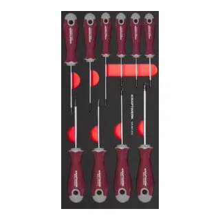 Kraftwerk Schraubendrehersatz TX 10-tlg. 20x40 Einlage von KRAFTWERK