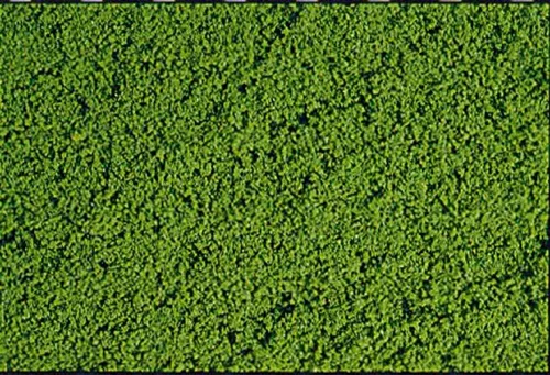 HEKI 1601 microflor Belaubungsvlies mittelgün 28 X 14cm NEU von Heki