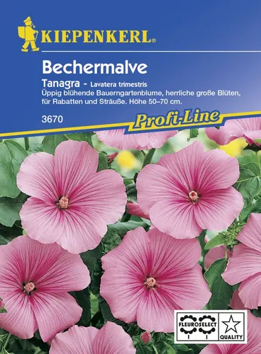 Kiepenkerl Bechermalve Tanagra Rosa Lavatera trimestris, Inhalt: ca. 40 Pflanzen