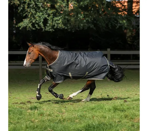 Bucas Freedom Turnout Light 0g Weidedecke - Regendecke in Black/Taupe, wasserdicht und atmungsaktiv mit Silk-feel Innenfutter für optimalen Komfort. Ideal für wechselhaftes Wetter und aktive Pferde.