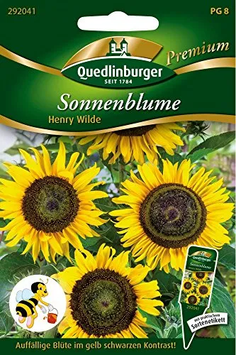 Produktbild Sonnenblumen Henry Wilde von Quedlinburger Saatgut