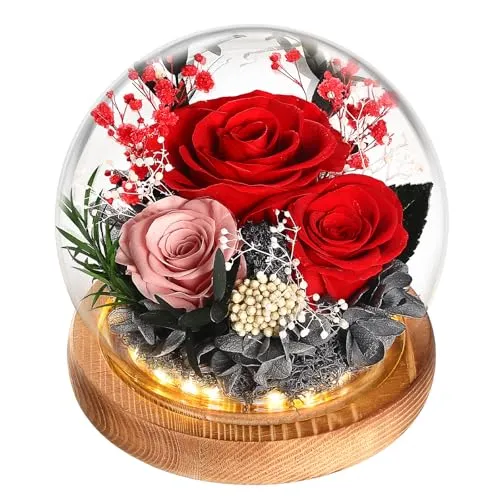 WYRIAZA Ewige Rose im Glas Geschenke für Frauen Mama Frau Freundin Ehefrau, Muttertagsgeschenk Geburtstagsgeschenk Geschenke für Weihnachten Valentinstag Muttertag Geburtstag