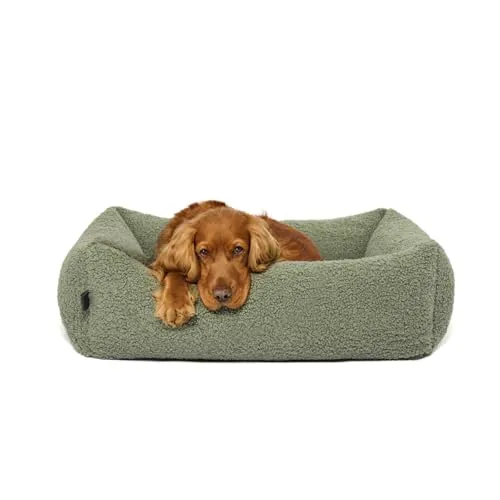 PAW WOW Sven Hundebett | Orthopädisches Hundebett | Teddy-Stoff | Hundekörbchen für kleine, mittelgroße und große Hunde (Olive, 85x65cm)
