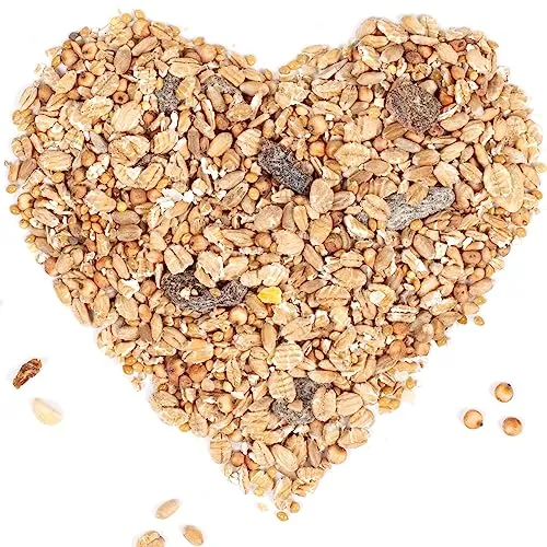 Lyra Pet® | 10 kg Fettfutter | HK Polen | Ganzjähriges Futter für Wildvögel | Energieschub im Winter & Sommer | Streufutter für Amseln, Rotkehlchen, Meisen & andere Vögel | Ideal für Vogelhäuser