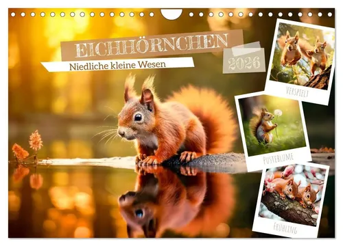 EICHHÖRNCHEN Wandkalender 2026 – Niedliche Tiermotive - Hochwertiger Fotokalender im A4-Format mit 12 bezaubernden Eichhörnchen-Motiven. Ideal für die Wandgestaltung und ein perfektes Geschenk für Naturfreunde und Tierliebhaber!