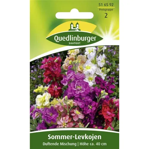 Sommer-Levkojen, Frühe hohe Mischung