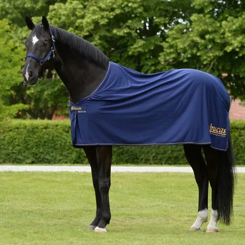 Bucas Prize Cooler Pferdedecke 165 Navy/Gold - Abschwitzdecke für Pferde, atmungsaktiv und bestickbar, ideal zum schnellen Trocknen nach dem Training.