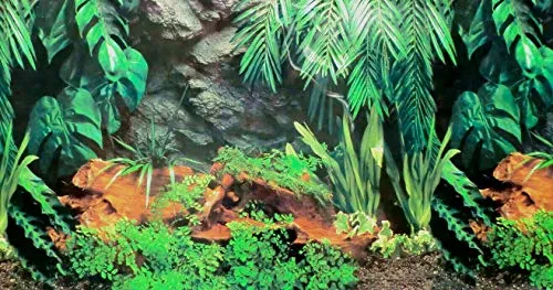 Dohse Aquaristik Rückwandfolie 160 cm x 60 cm Terrarien Aquarien Rückwand Hintergrund Dekoration Poster