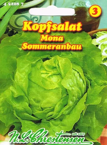 Kopfsalat Mona (Portion)