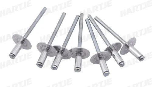 Dresselhaus Blindniete Blindniete 4,8 x 12,0 mm Aluminiumstahl, Flachkopf