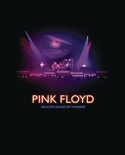 Produktbild DELICATE SOUND OF THUNDER
