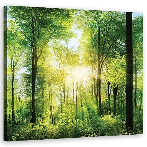 Feeby Wanddeko Sonnenstrahlen zwischen den Bäumen Wald 50x50 cm Leinwandbild Kunstdruck Zweige Natur Blätter Grün