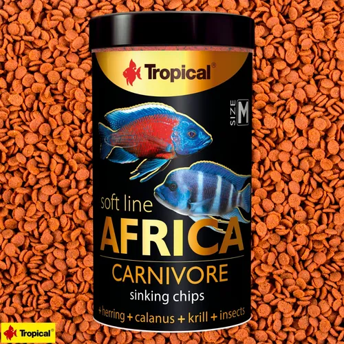 Tropical Soft Line Africa Carnivore, 1er Pack (1 x 130 g) von Tropical