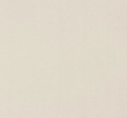 Vlies Tapete Struktur creme AS Creation Elegance 30486-1 (2,12€/1qm)
