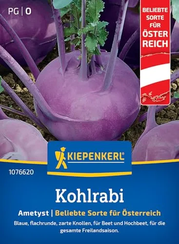 Kiepenkerl Profi-Line Kohlrabisamen Ametyst F1 1076620 - Flachrunde Knollen mit zartem Fleisch - ideal für Freiland & Hochbeet - Saatgut, Gemüsesamen