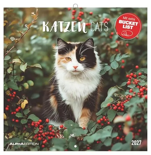 Katzen 2027: Cats: Wandkalender 30x30 cm (30x60 cm geöffnet) mit Notizkalendarium, 12 Katzenfotografien und Bucket-List