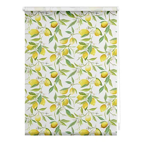 Lichtblick Klemmfix Tageslicht-Rollo Limone in gelb von Lichtblick