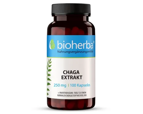 BIOHERBA R Chaga Extrakt 250 mg 100 Kapseln Nahrungsergänzungsmittel