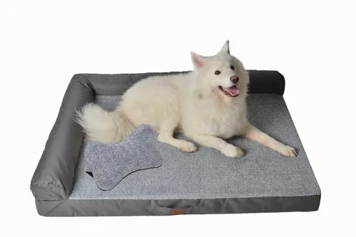 RAIKOU Tierbett - Weiches Hundebett mit Knochenkissen - Tierbetten, elegantes Design, antistatische und antibakterielle Materialien, rutschfest, einfach zu reinigen, ideal für komfortable Rückzugsorte.