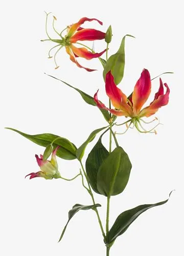 artplants.de Kunstblume Ruhmeskrone, pink - gelb, 80cm - Künstliche Gloriosa - Deko Blumen