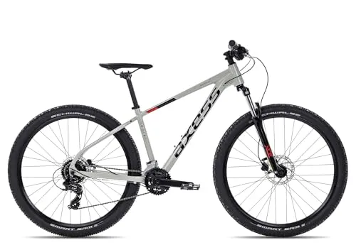 Mountainbikes bis 500 Euro von Axess