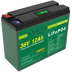 LiFePO4 Akku 36V 12Ah für Camping und Boot