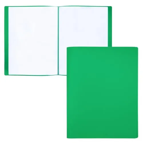 Raylu Paper Mappe mit Klarsichthüllen A4, 30 Transparente Hüllen aus 100% Recycelbarem Polypropylen, Dokumentenmappe für Schule & Büro (A4, Grün, 30 Hüllen)