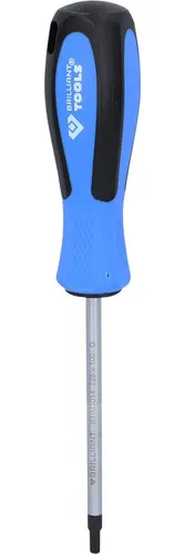 Brilliant Tools Schraubendreher TORX, T25 x 100 mm