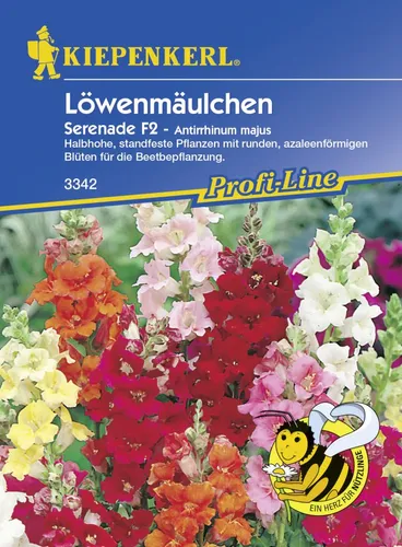 Kiepenkerl Löwenmäulchen Serenade F1 ca. 80 Pflanzen