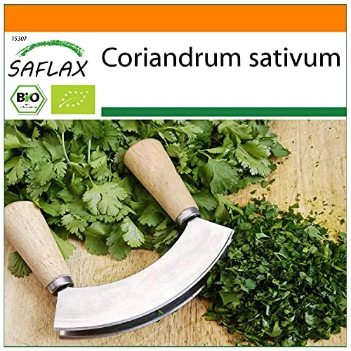 SAFLAX - Garden in the Bag - BIO - Koriander - 150 Samen - Mit Anzuchtsubstrat im praktischen, selbst aufstellenden Beutel - Coriandrum sativum