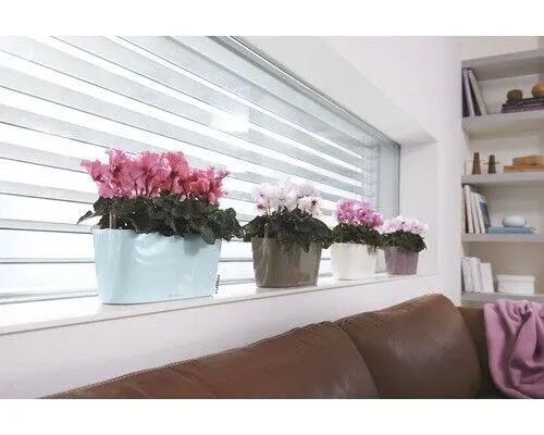 Blumentöpfe & Pflanzgefäße Grau von Lechuza