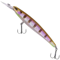 Zeck Angeln & Fischen von Zeck