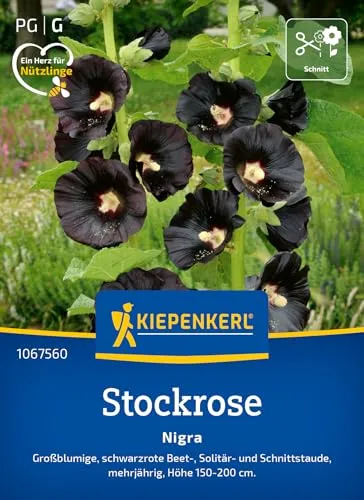 Kiepenkerl Stockrosensamen Nigra 1067560 in schwarz von Kiepenkerl