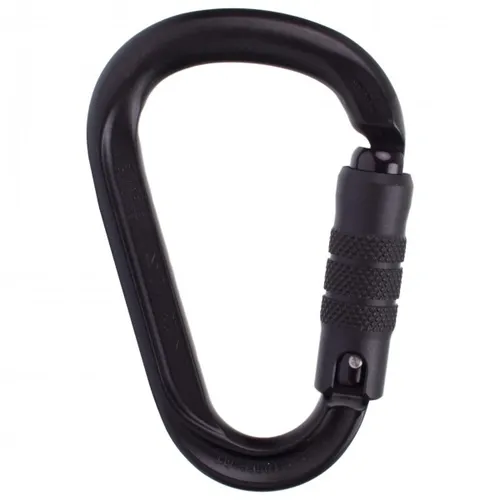 AustriAlpin - HMS Rondo Alu 3-Wege-Autolock - HMS-Karabiner Gr One Size grau