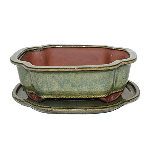 Exotenherz Bonsai-Schale mit Unterteller - Oliv-Braun, Gr. 4 - Modell I4 - Elegante, glasierte Bonsai-Schale mit Untersetzer in Oliv-Braun. Ideal für Zimmerbonsai, bietet optimale Entwässerung. Maße: 26 x 20,5 x 8,5 cm. Hergestellt in der renommierten Töpfer-Stadt Yixing.
