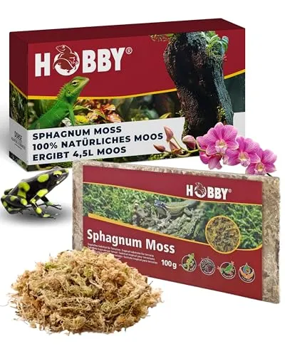 Hobby Terraristik Sphagnum Moss I 100g I tropisches Substrat für Terrarien und Orchideen I Moos für Terrarien I 100% natürlich und ohne chemische Zusätze I Moos zur Erhöhung der Luftfeuchtigkeit