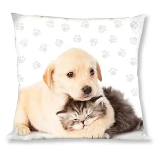 Faro Kissen Kuschelkissen Dekokissen mit Hund und Katze 40 x 40 cm