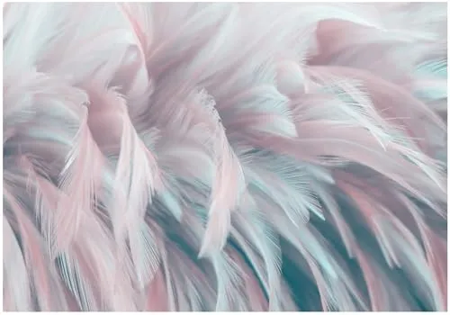 WallArena, mehrfarbig,Wallarena